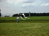2008 KiteFestival-026.jpg